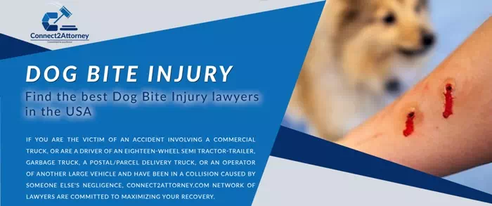 dog bite injury attorney