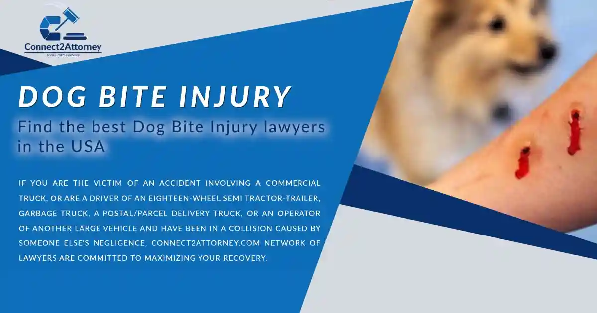 Dog Bite Injury Attorney Connect2Attorney Trusted Legal Partner